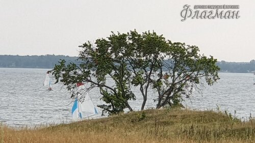 20190804_180307_r